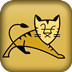 Tomcat V10.0.8 ѹ