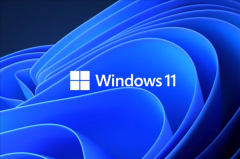 ½׶Σ΢ϱ׼ûWin11