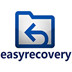 Easyrecovery V14.0.4 Ѱ