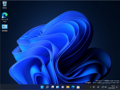 []win11뷨Ĵֻʾĸ⣡