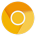 Chrome Canary(ȸ˿ȸ) V97.0.4684.2 ٷװ