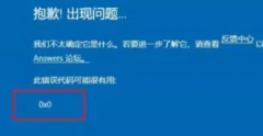 Win11ʾ0x0ôWin110x0
