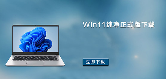 Win11ʽ