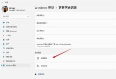 ϵͳԲ̵Win11Ĳ֮