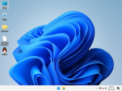 ΢ŻWindows 11϶ϹҪعˣ
