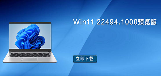 Win11 22494.1000Ԥ