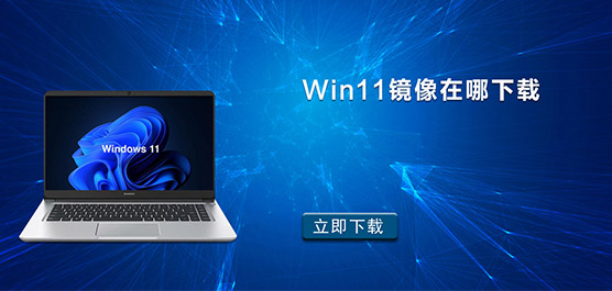Win11