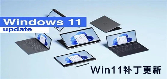 Win11