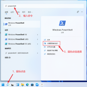 WSA-with-Magisk-GApps-Pico 1.8.32822.0װ