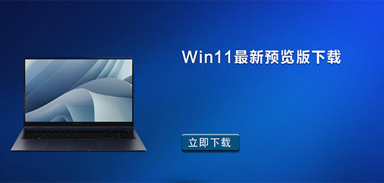 Win11Ԥ