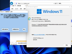 Win11ܰװieô죿