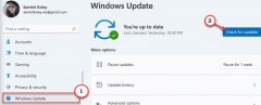 Win10еļϵͳ-805305975ô