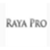 Raya pro(psչ) V2.0 ٷװ