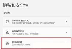Win11ôѡWin11򿪿Աѡ̳