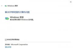 Win10 20H2װסʧν