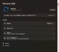 Win11KB5007215װʧô죿