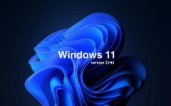 Win11ļٷӦô Win11ļٽ