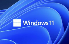 Win11ϵͳǷֵ µϵͳWin11