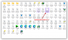 Win11ϵͳȸIDMòô