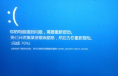 Win10kernel security check failureô죿