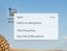 ΢Win11 2022°淢Ż