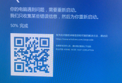 Win11kernel_mode_heap_corruptionҪô죿