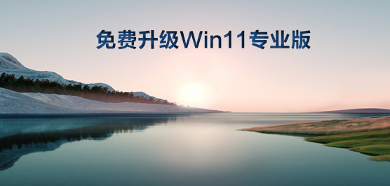 Win10Win11Ҫô