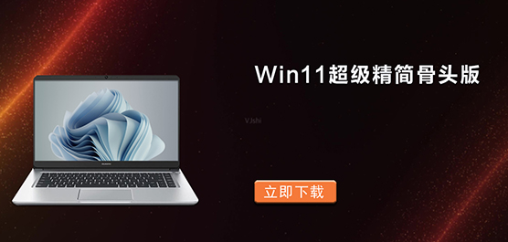 Win11ĸ汾