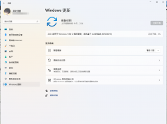 ΢Win11 KB5008215(22000.376)ˣ(־صַ)