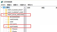 Win11Ƭ鿴ãWin11Ƭ鿴÷