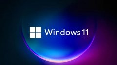 Win11cWin11 CgĿռ