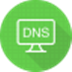 DNSѡ V1.0.0 ɫ