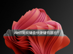 Win11̿ݼЩWin11̿ݼ
