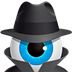 Hetman Internet Spy(ɨ蹤) V3.1 Ѱ