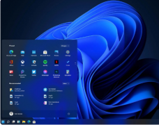 ΢Win11ϵͳò Win11ϵͳǷϸ
