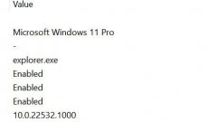 ΢ܿWin11 22H2 22532