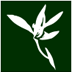 Blumind(˼άͼ) V3.2.902 ɫİ