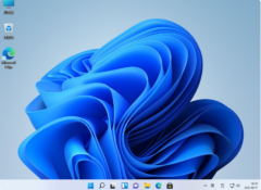 Win11ϵͳĸ汾 Windows11ͬ汾Щ
