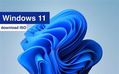 أWindows11 22H2 ٷʽSOٷأ
