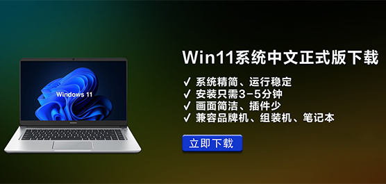 Win11ϵͳʽ