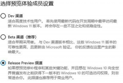 Win11ԤʽWin11Ԥô׼ʽ棿