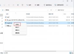 Win10ɾexeļô죿