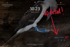 ΢Win11 Dev 22543.1000Ԥ淢޸Bug