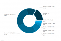 AdDuplexʾWindows 11 ʹ÷ݶ 16.1%