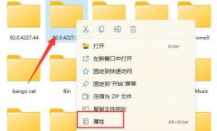 Win11ļ޷ɾô죿Win11ļ޷ɾĽ