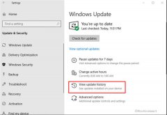 δWindows10 21H221H120H2жKB5009596