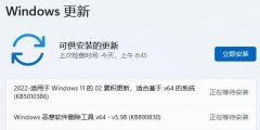 Win11»ô Win11»ôϸ
