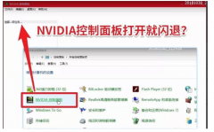 nvidiaô nvidia˻