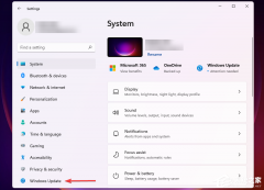 ΪʲôWin11ٳ-µWin11ٱô