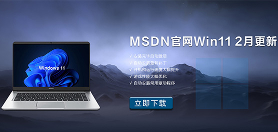 MSDN官网Win11 2月更新